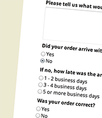 customer satisfaction survey template
