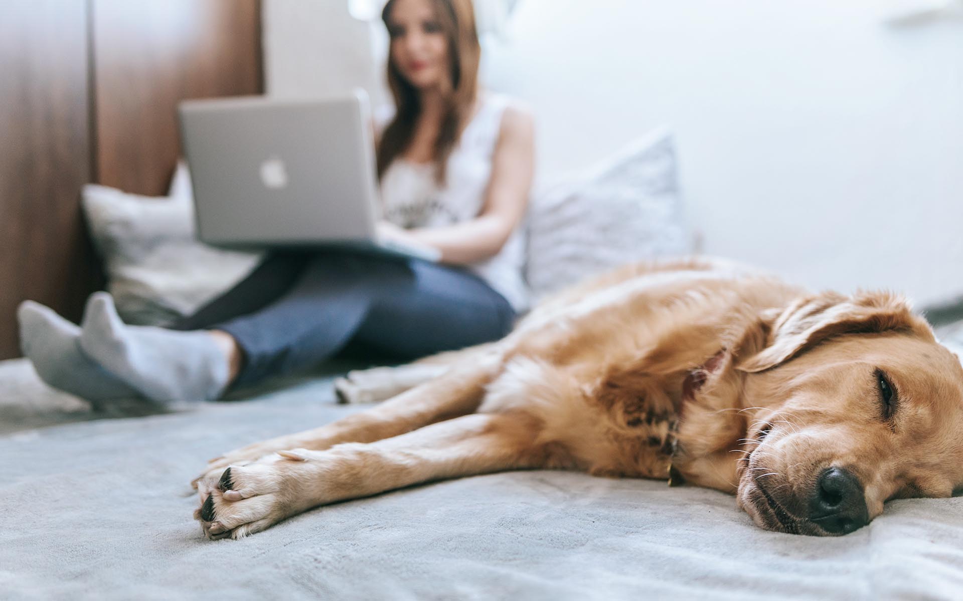 Remote work_blog header