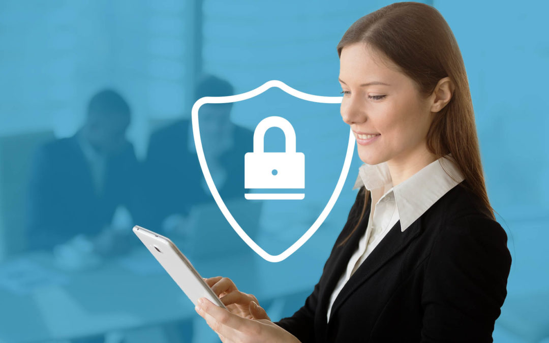 Here’s How We Keep Professional & Premier Plans Secure