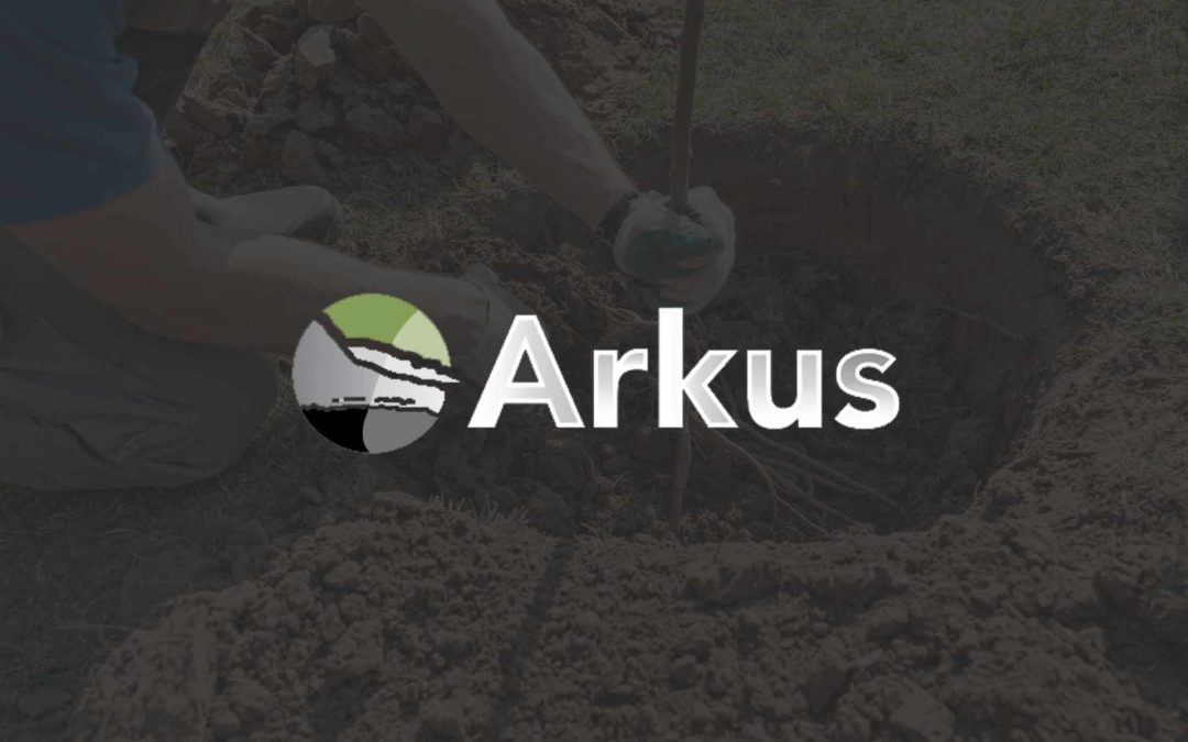 The Power of a Partner: Creating Sustainability from the Roots Up