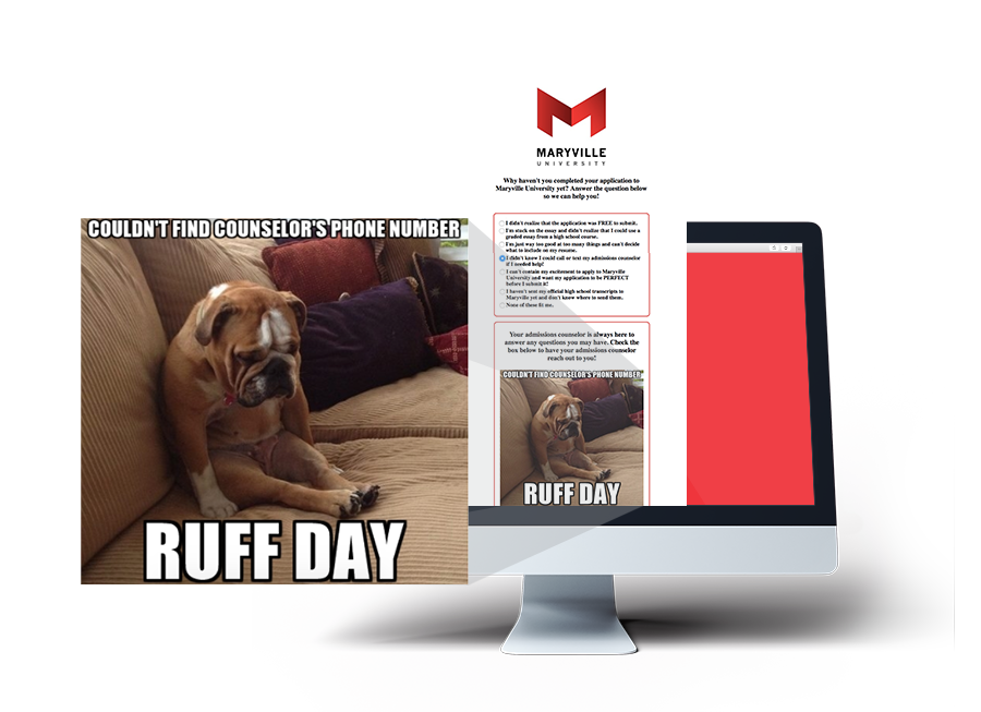 conditional forms showing meme