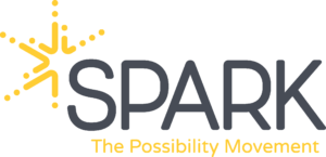spark logo
