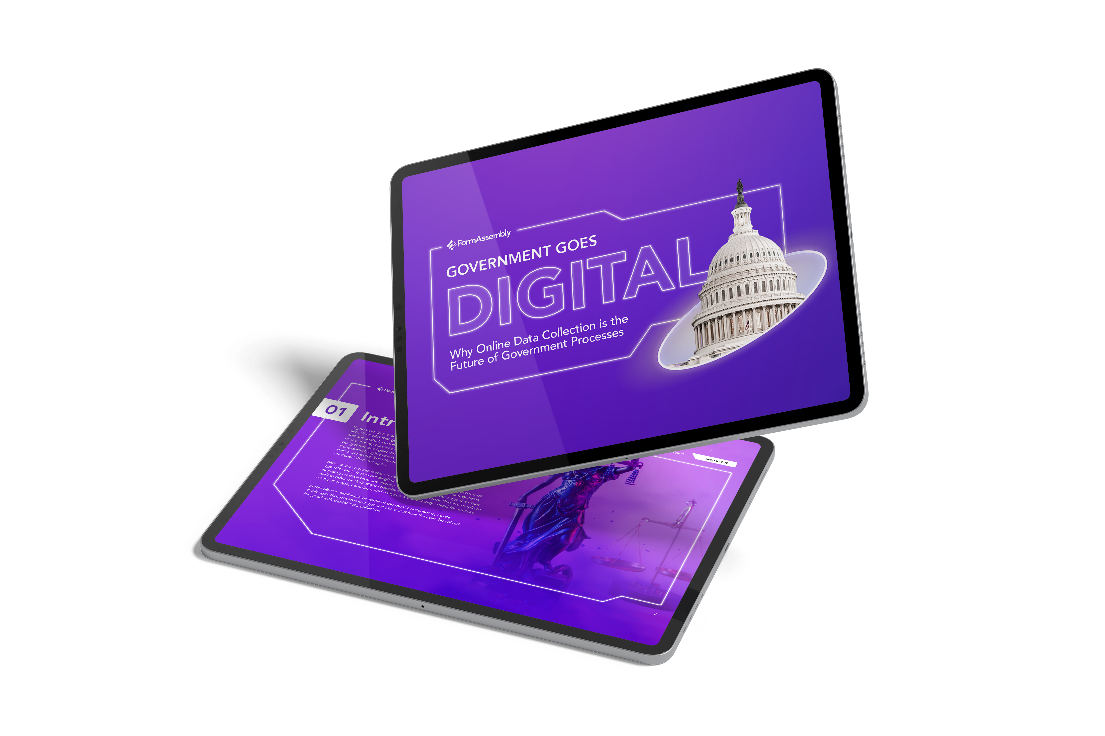 government form solution