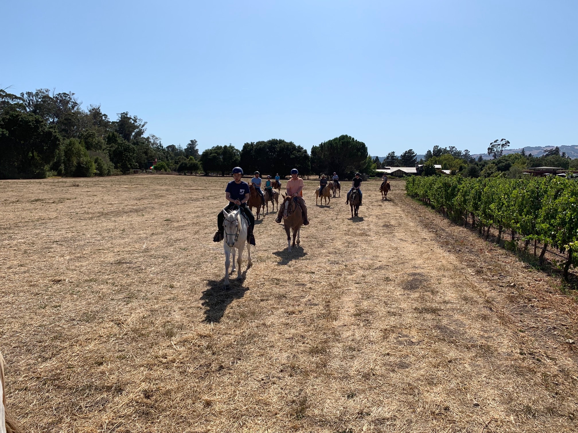 The horseback riding group goes for a ride and tour through the Bartholomew Estate Winery.