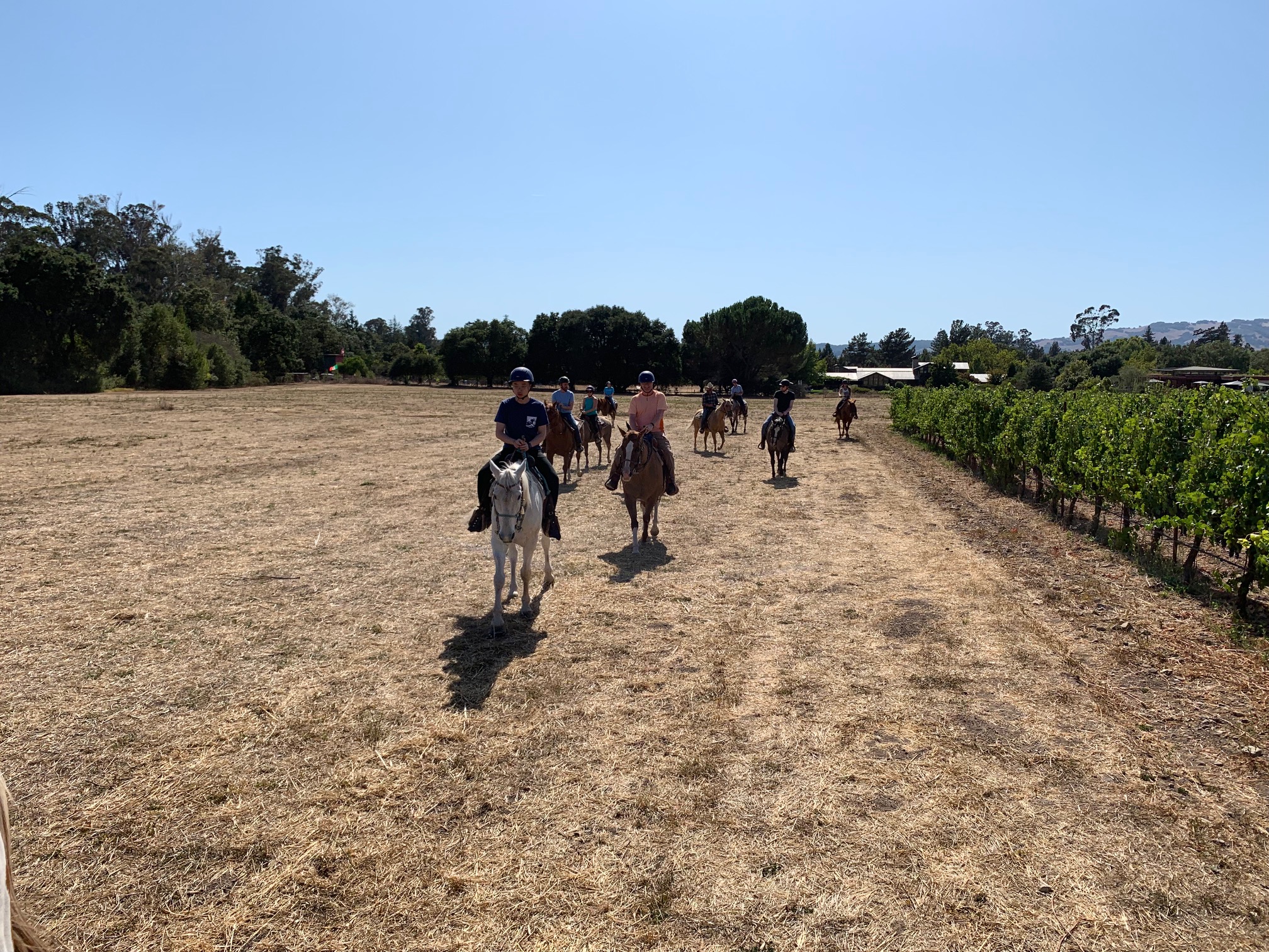 The horseback riding group goes for a ride and tour through the Bartholomew Estate Winery.