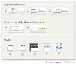 Form Layout Options