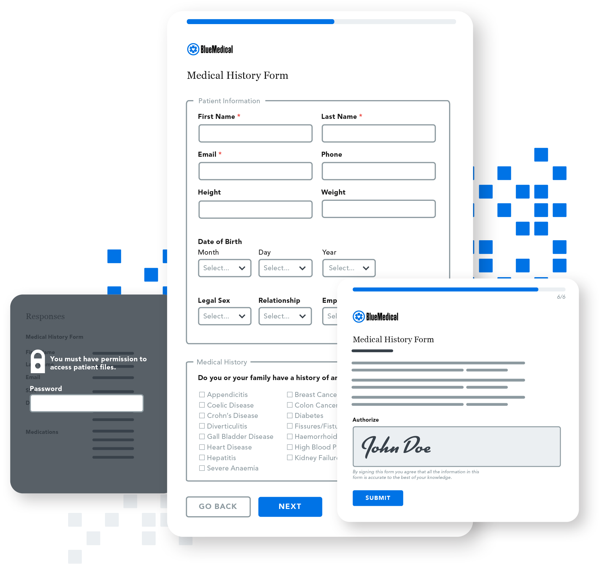 example of an online intake form